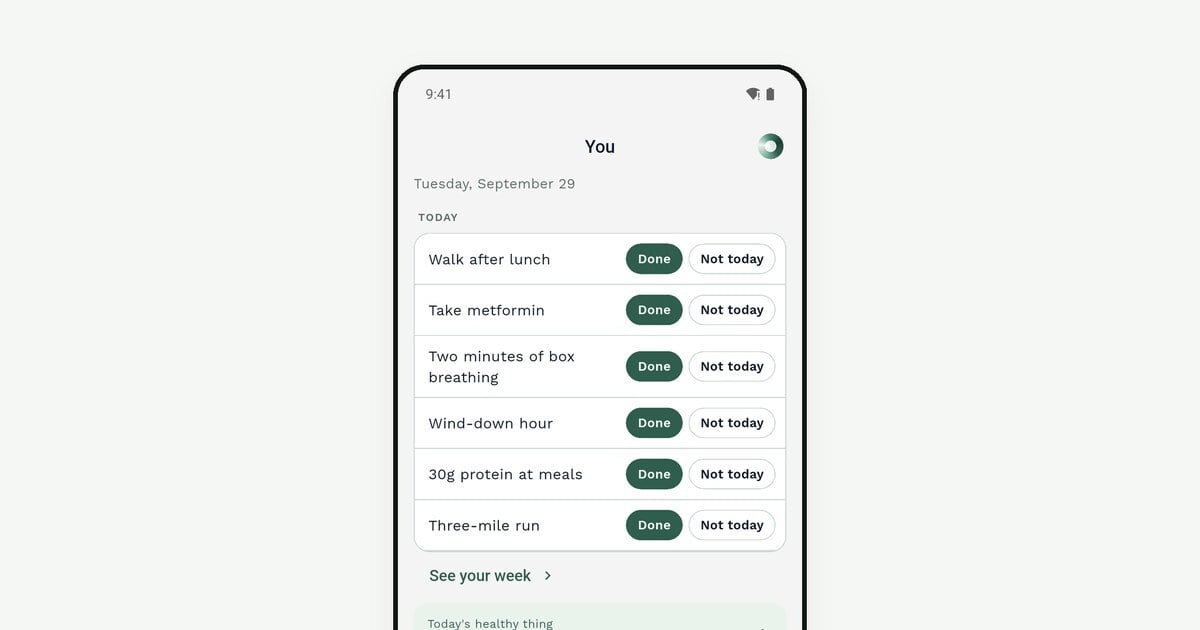 Grace by Youngr: your plan and nutrition in the You tab